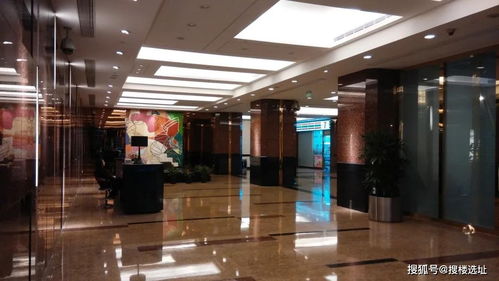 南京東路 人民廣場地區(qū)精品商務(wù)樓宇掠影之四 金融廣場 金融業(yè)務(wù)的璀璨樞紐